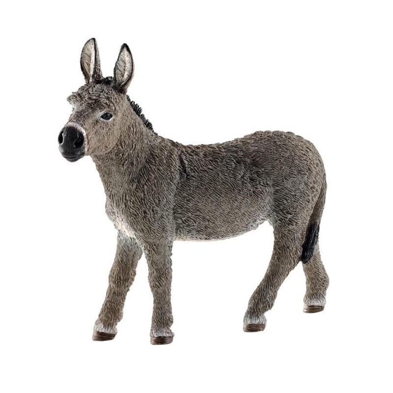 13772  Donkey