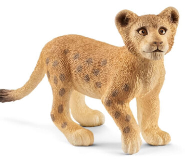 14813 Lion cub
