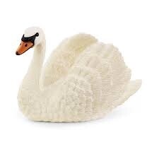 13921 Swan