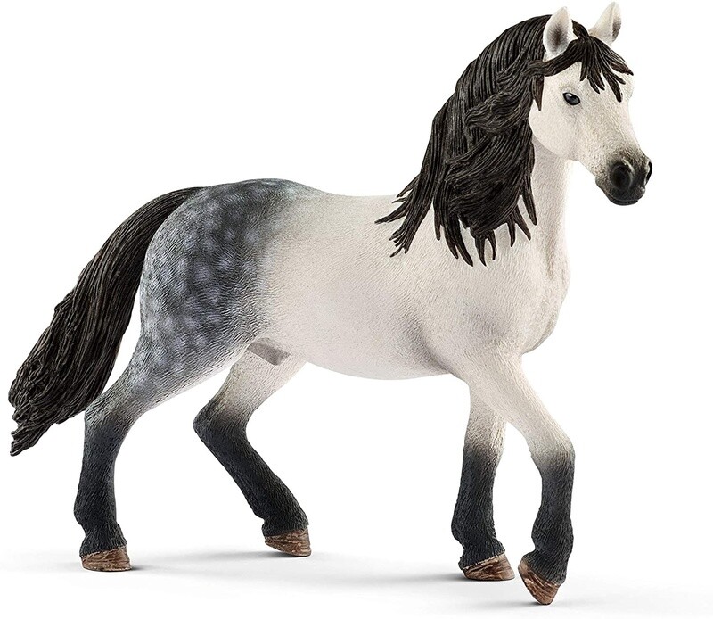 13821  Andalusian stallion
