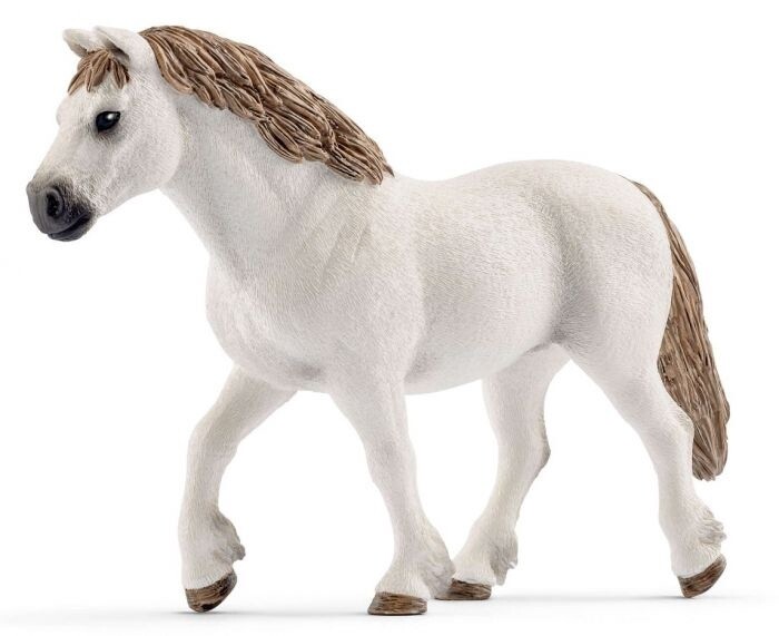 13872 Welsh pony mare