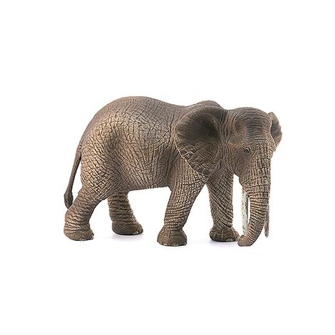 14761 African elephant, female