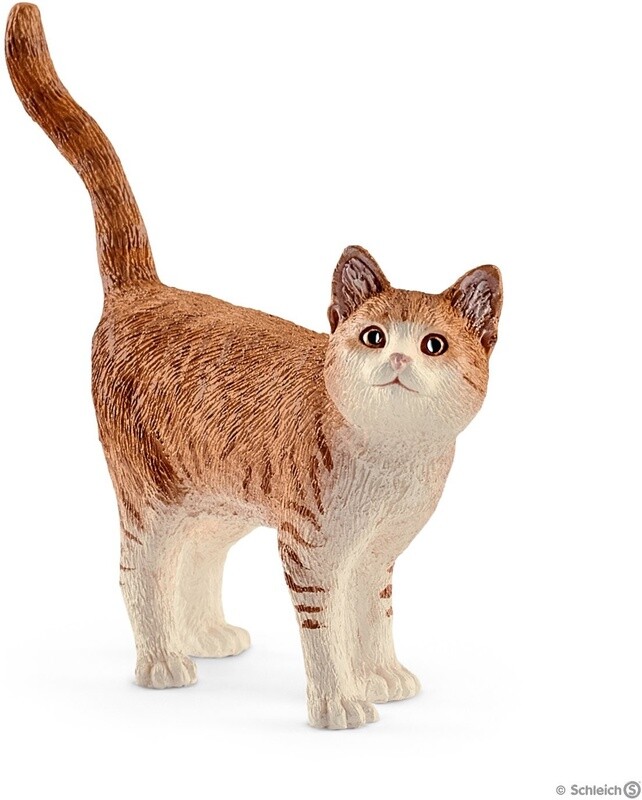 13836 Cat