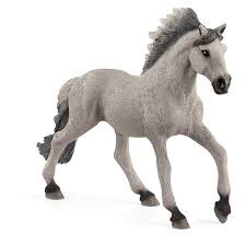 13915 Sorraia Mustang Stallion