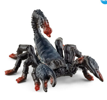 14857 Emperor Scorpion