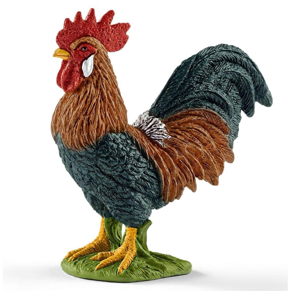 13825 Rooster