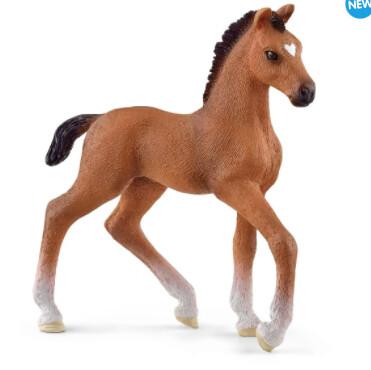 13947 Oldenburger Foal