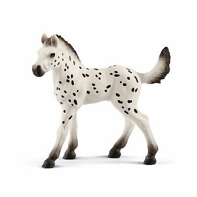 13890  Knabstrupper foal
