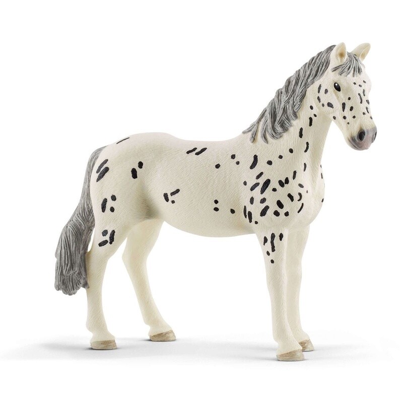 13910 Knabstrupper mare