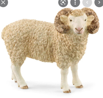 13937 Ram