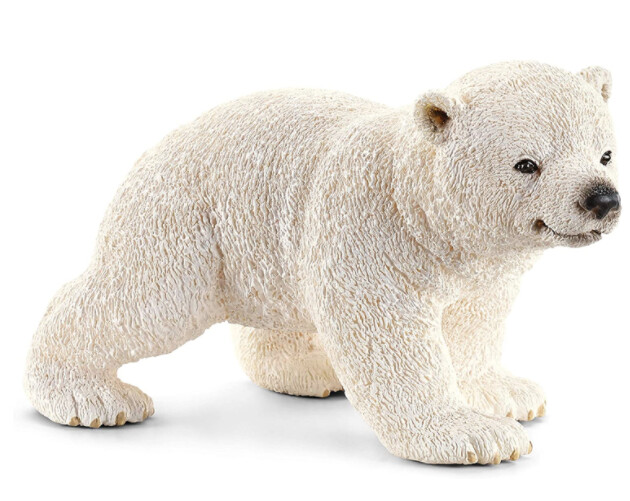 14708 Polar bear cub, walking