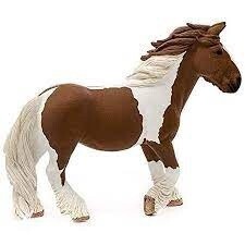 13773 Tinker mare