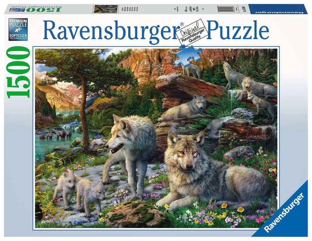 16598 Wolves in Spring