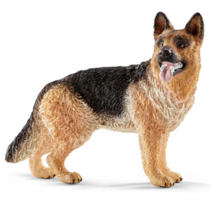 16831 German Shepherd