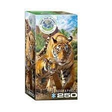 8251-5559 Tigers