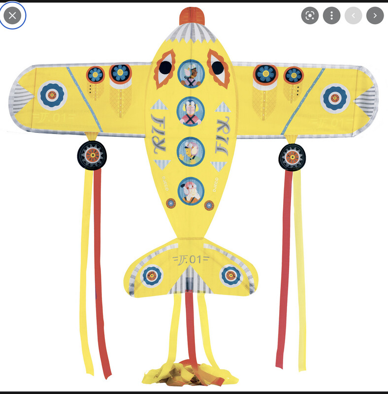 DJ02161 kite/Maxi Plane
