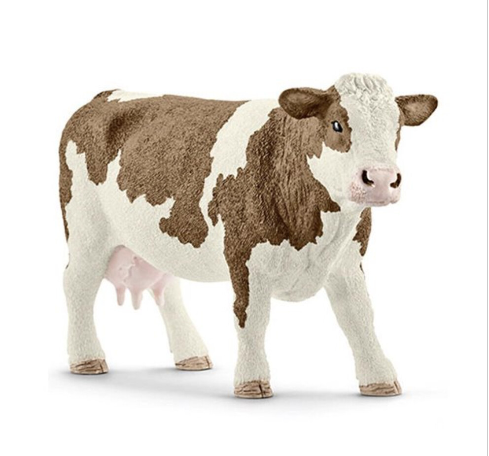 13801 Simmental cow