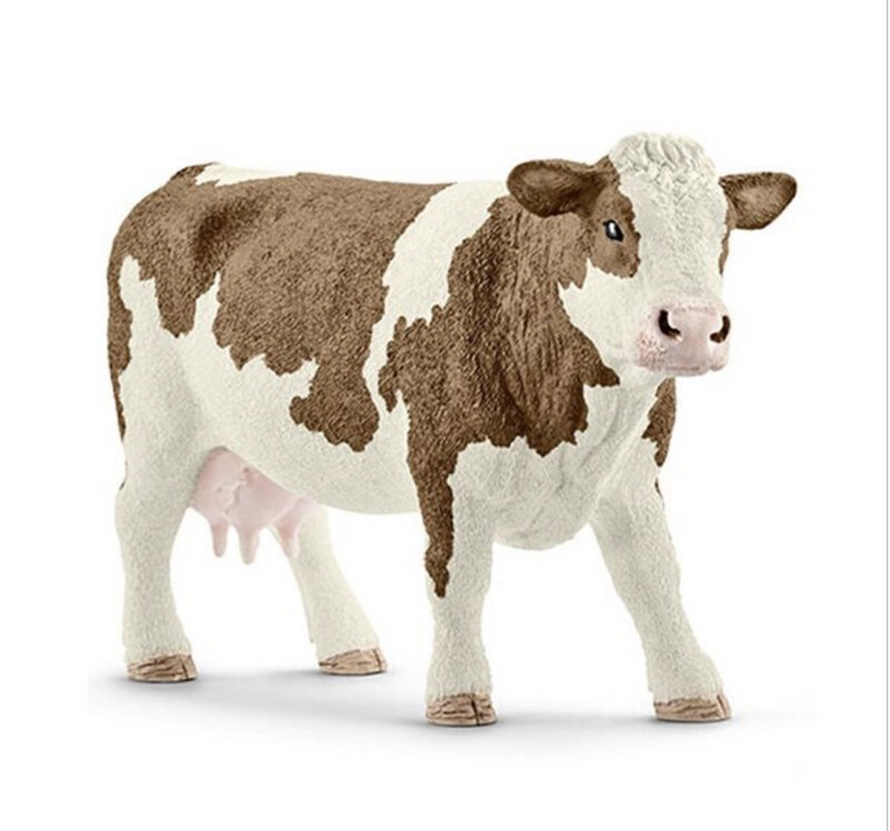 13801 Simmental cow