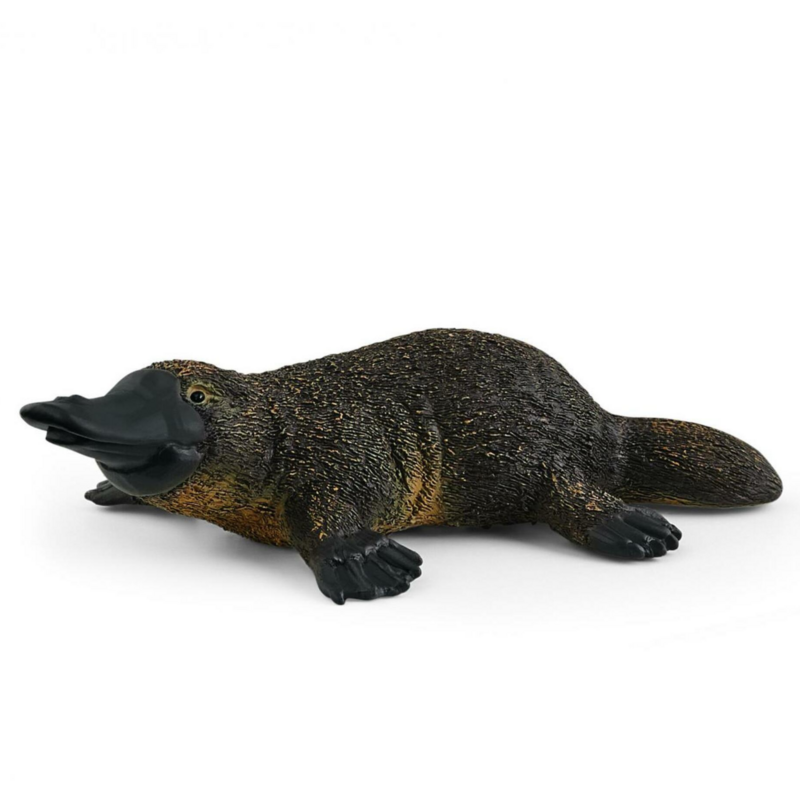 14840 Platypus