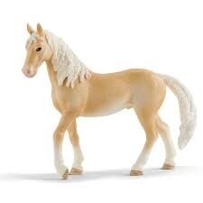 13911 HORSE CLUB - AKHAL TEKE STALLION (5)