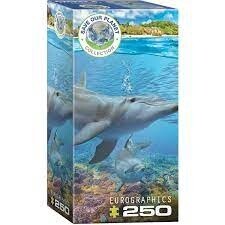 8251-5560 Dolphins