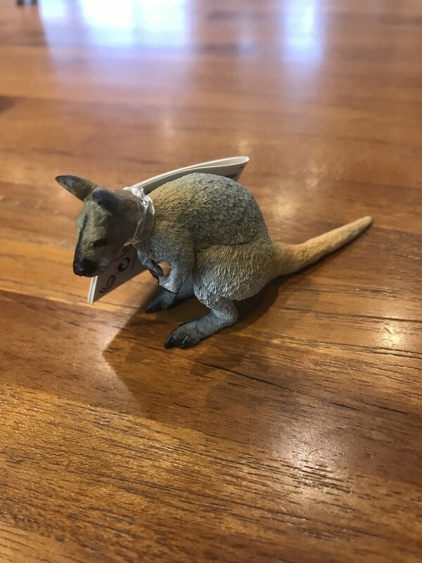 224929 Wallaby