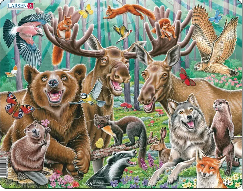 SP4107899 N 42PC PUZZLE-HAPPY FOREST SELFIE