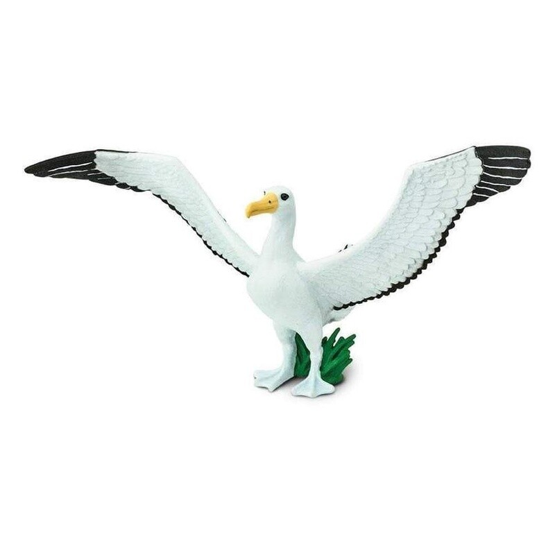 150729 Giant Albatross