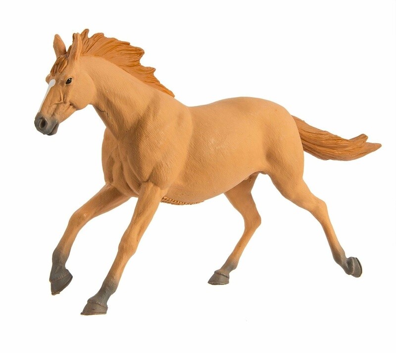 151805 Trakehner Stallion