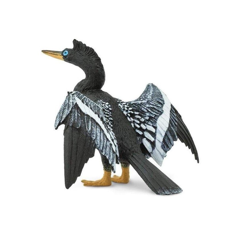 150129 Anhinga