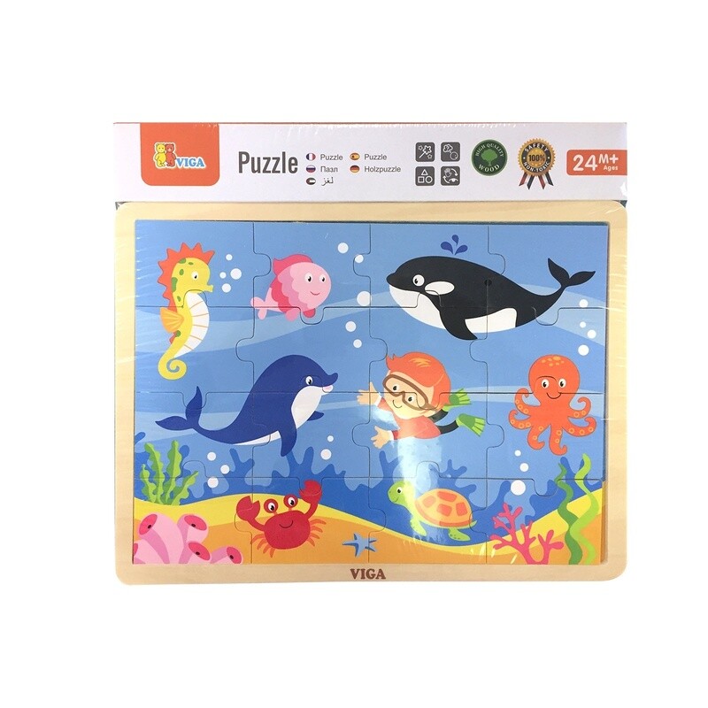 502003 PZ16: OCEAN SCENE