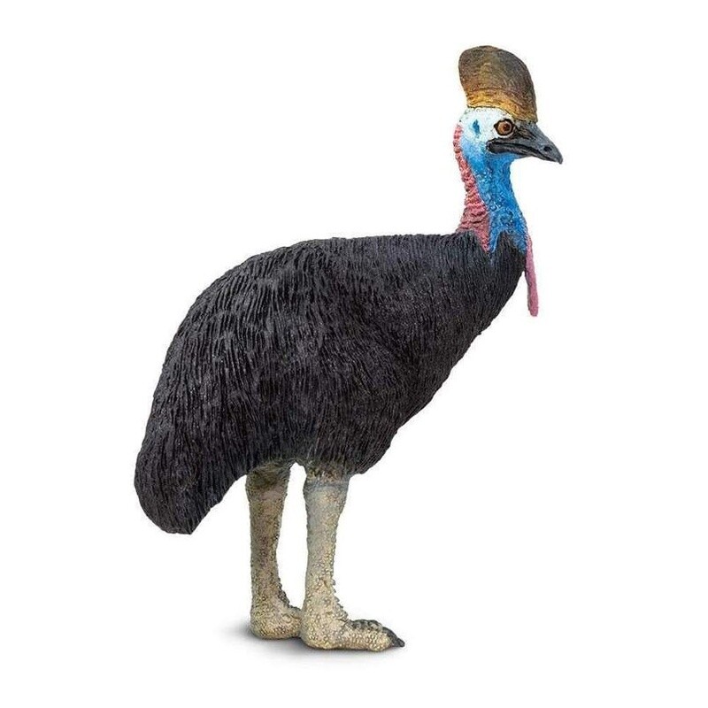 225429 Cassowary