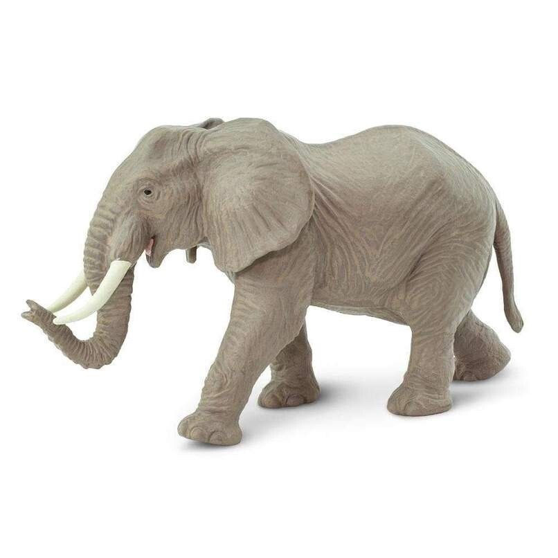 270029 African Elephant