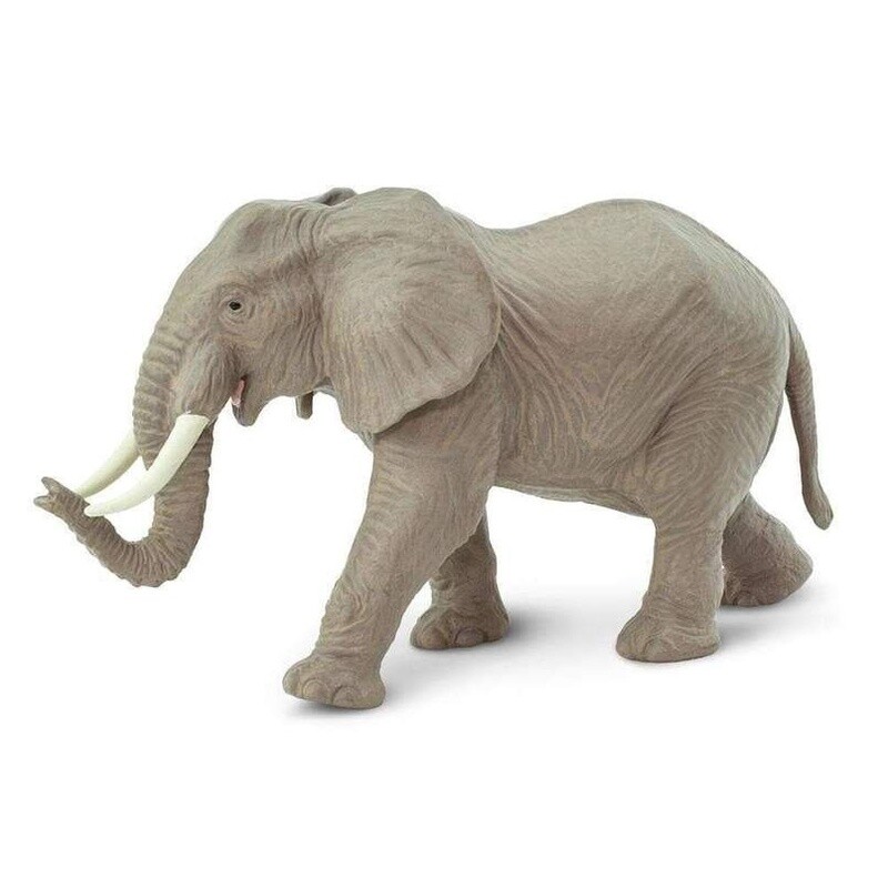 270029 African Elephant