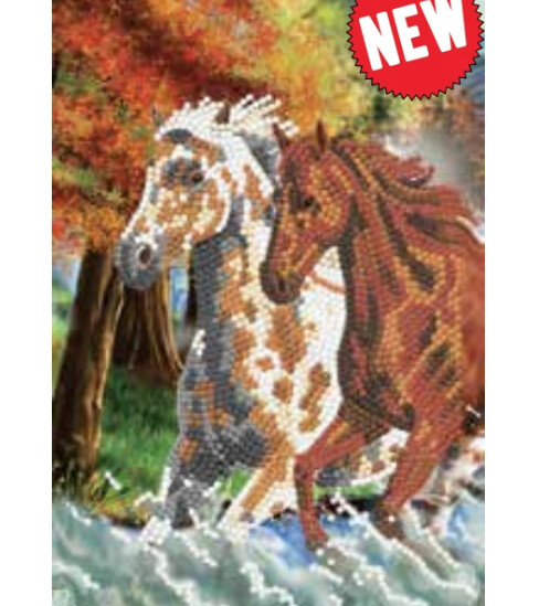 CA-49641 CA Notebook - Wild Horses