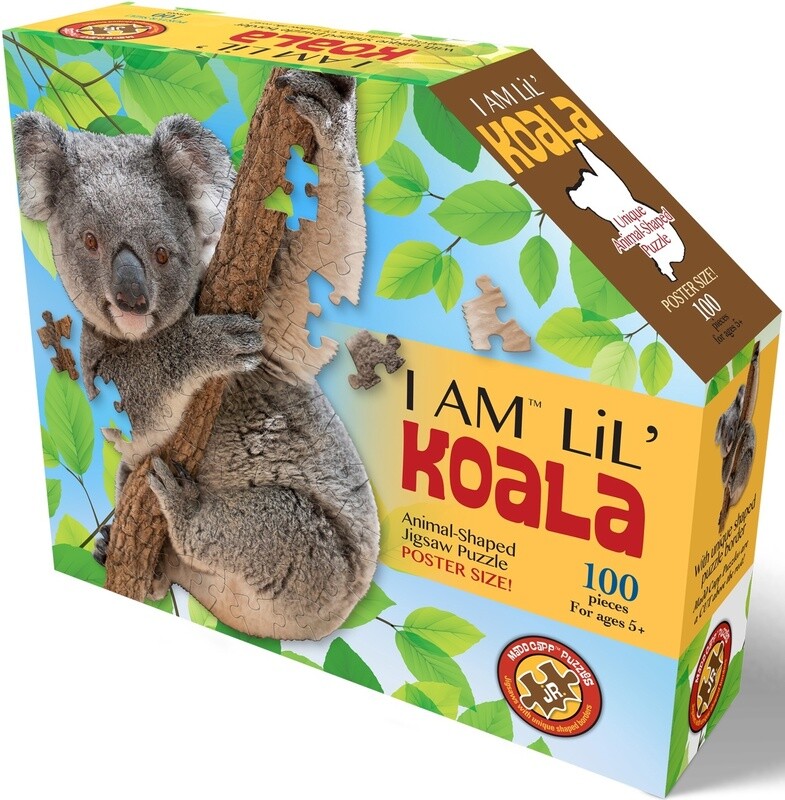 M-56947 I AM Lil&#39; Koala (100 pc)