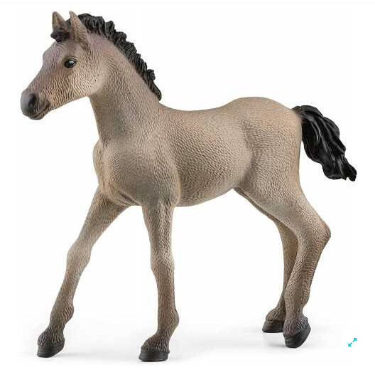 13949 Criollo Definitivo Foal