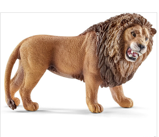 14726 Lion, roaring
