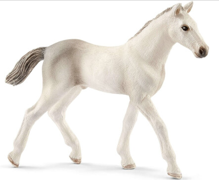 13860 Holsteiner foal