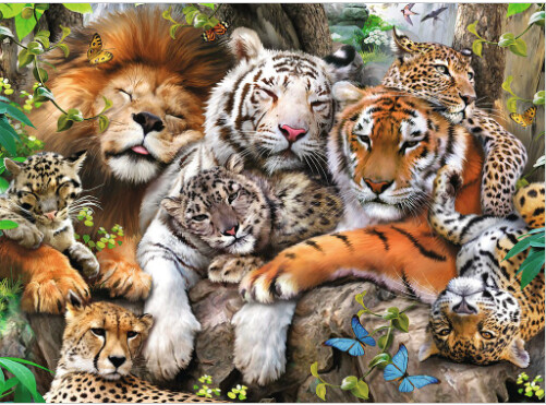 12721 Big Cat Nap 200pc