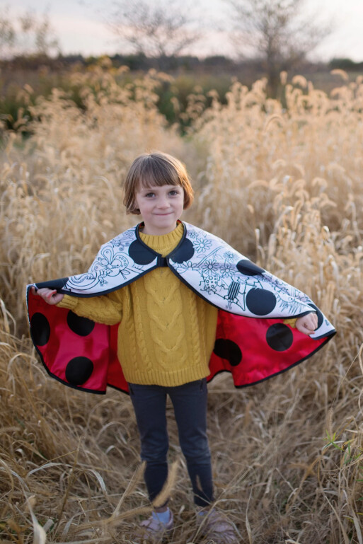 83032 Colour+AC0-A+AC0-Cape Ladybug