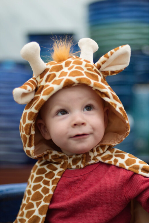 53042 Toddler Giraffe Cape, 2-3T