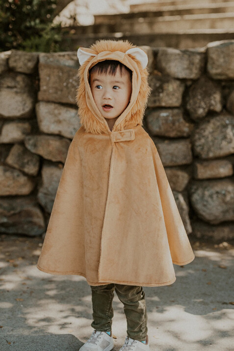 53032 Lion Toddler Cape 2/3