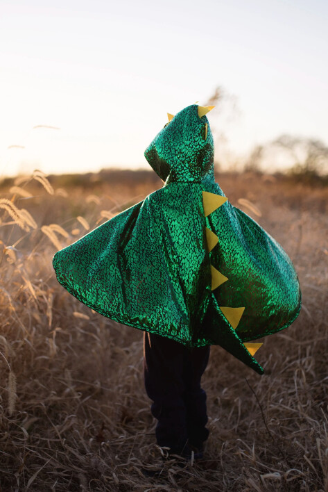 53062 Toddler Dragon Cape 2-3T