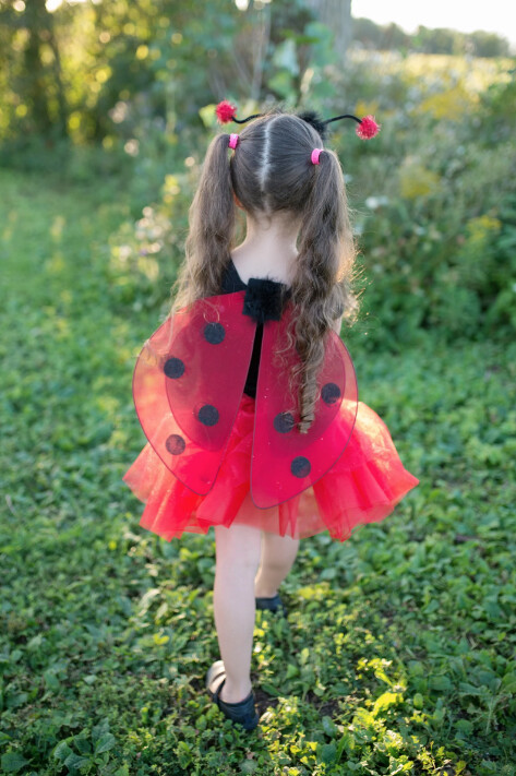 43575 Ladybug Fairy Set 4/7