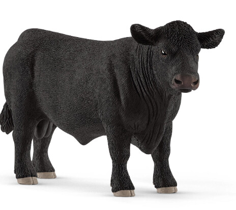 13879 Black Angus bull