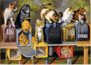 13562 Cat's got Mail 300 Pc LF