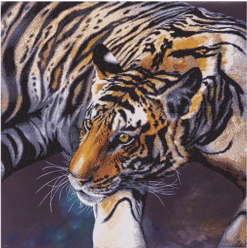 CA-46726 CA Kit (XL size B) - The Tiger