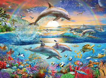 12895 Dolphin Paradise 300pc XXL