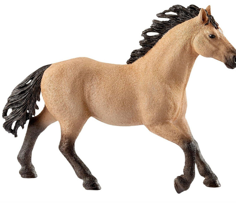 13853 Quarter horse stallion
